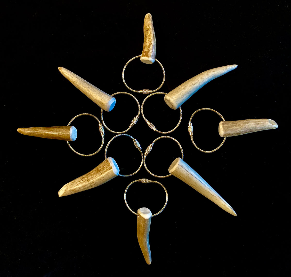 Elk Antler with Cable